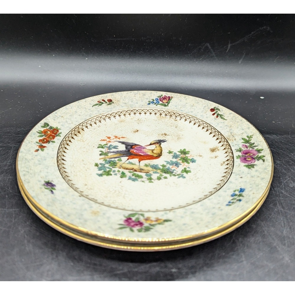 Antique‎ NY Booths Bowing Pheasant Bird Salad Dessert Plate Set/2 7.75" Flower